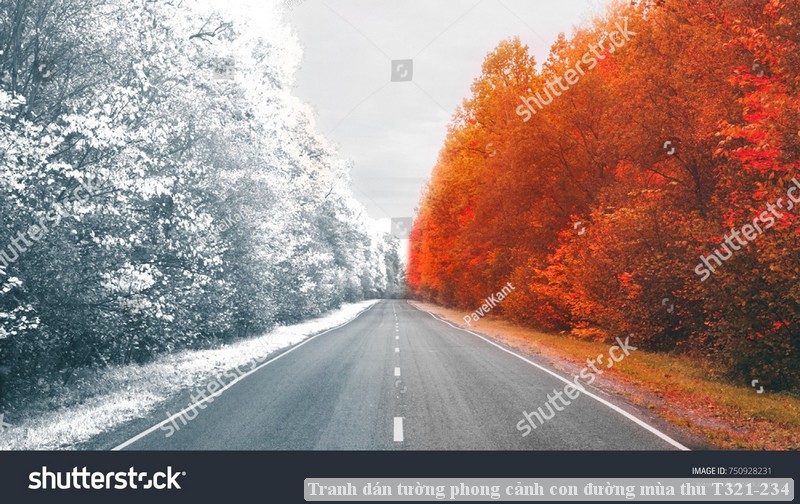 Tranh dán tường phong cảnh con đường mùa thu T321-234